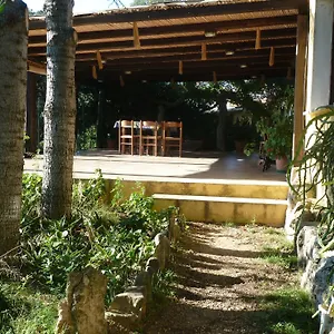 Vaddidulimu Bed and breakfast