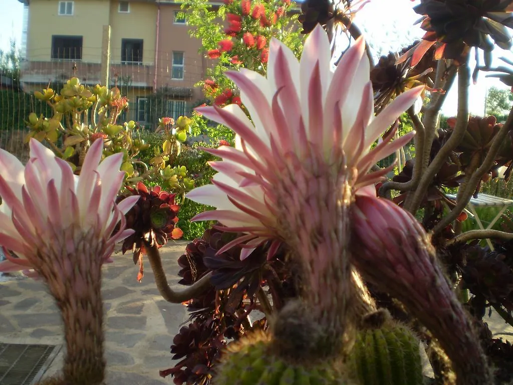 Il Giardino Di Emilio Bed & Breakfast Marrubiu