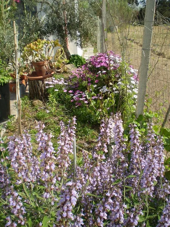 Il Giardino Di Emilio Bed & Breakfast Marrubiu 0*,